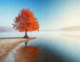 智‍能‍写‍稿‍机​器﻿人​